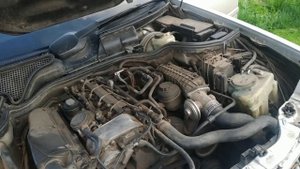 Новое приобретение!!! Мерседес (лупатый)