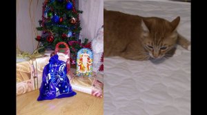 1 ЯНВАРЯ. РАСПАКОВКА ПОДАРКОВ. КОТ НА КРОВАТИ)