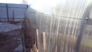 ЕСЛИ ТЕПЛИЦА В ТЕНИ ОТ ДОМА. Ольга Чернова.