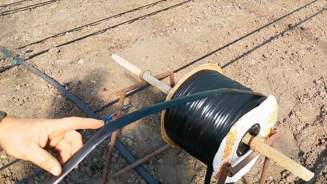 капельный полив в теплице / Какое капельное выбрать?