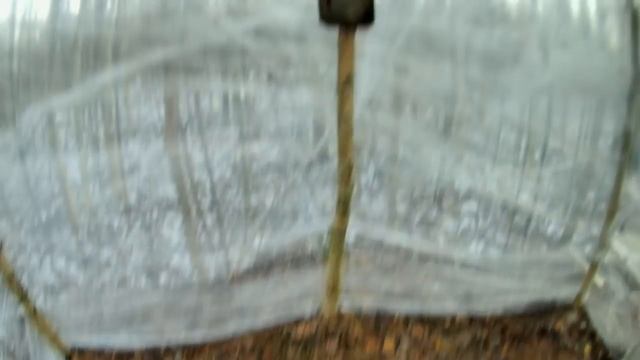 БАНЯ ИЗ СТРЕЙЧ ПЛЕНКИ ИЛИ МОБИБА DIY смотреть онлайн