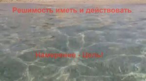 Решимость иметь и действовать Вадим Зеланд