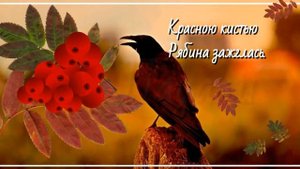 Сравнение видео с частотой 30 и 60 кадров в секунду