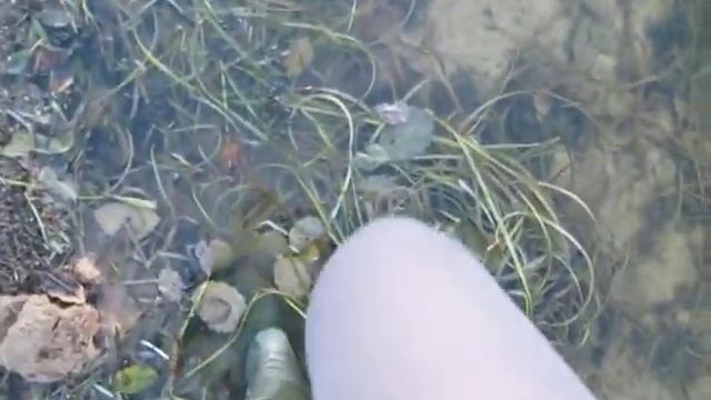 Ноги ходят по берегу реки смотреть онлайн