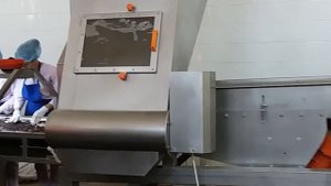 Сухофрукты из Узбекистана оптом. Производство изюма.(2)