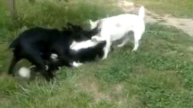 Игры в гостинице Карандаши смотреть онлайн