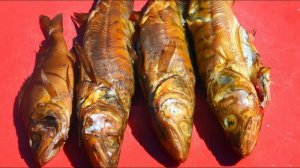 Как коптить рыбу горячего копчения в коптильне. Копчение судака.