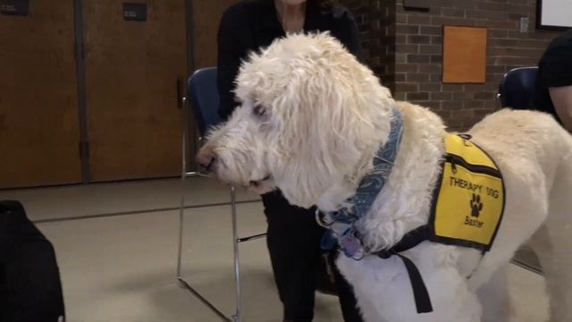 2023-04-18 Student De-Stress Day смотреть онлайн