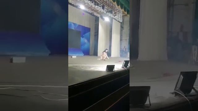 цирковое представление Русского театра 888 Москва-Пекин.