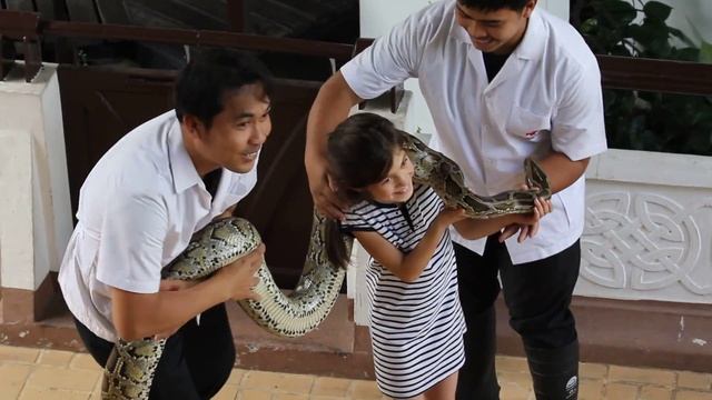 Thaisa python смотреть онлайн