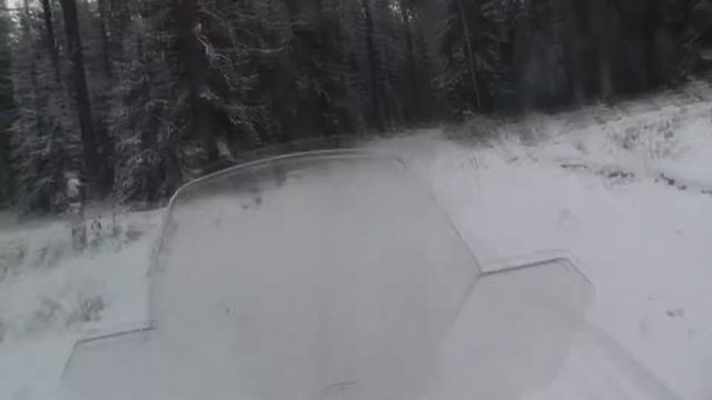 Снегоход Стелс 800 на новых расширителях по лесной дороге смотреть онлайн