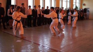 Показательные выступления по Каратэ-до