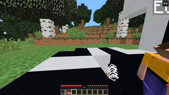 КАК МЕНЯЛАСЬ ДЕВУШКА ЗЕБРА И ЕГО ЖИЗНЕННЫЙ ЦИКЛ В МАЙНКРАФТ ЭВОЛЮЦИЯ ДЕВУШКИ И ТРОЛЛИНГ МУЛЬТИК смотреть онлайн