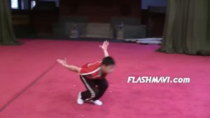 Wushu Eagle Style Form - Instructional