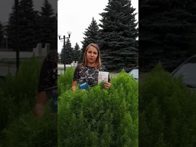 #ЧитаемЕсенина