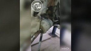 Geely, замена сайлентблоков передних рычагов