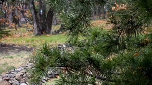 ~ВЛАДИВОСТОК/БАЗА ОТДЫХА МАЯК~