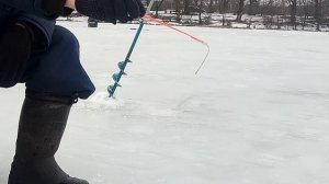 Зимняя рыбалка на гвоздик кубик, Плотва даже за глаз  цепляется.