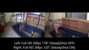 Sony HDR-AS20 SteadyShot comparative