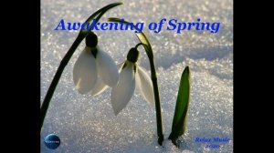 045. Awakening of Spring (2020).mp4