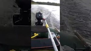 колибри к280т и сузуки 2,5