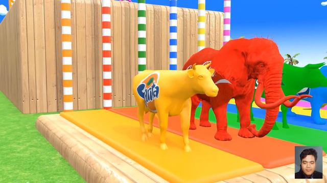 Long Slide Game With Elephant Gorilla Buffalo Hippopotamus Tiger - 3d Animal Game - Funny 3d Animal смотреть онлайн