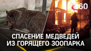 Видео: медведя спасают из горящей клетки в Евпатории