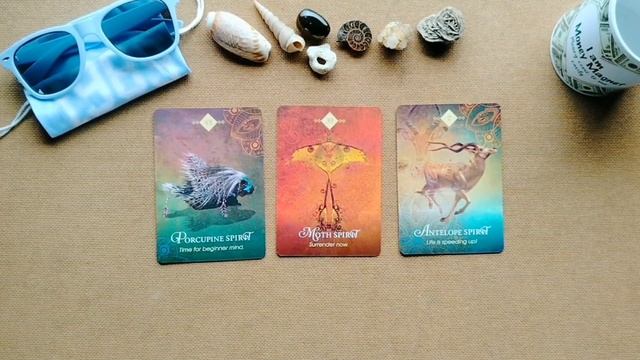 Zodiac Energy Reading For September 2022 (Oracle Reading) смотреть онлайн