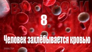 Звук крови, капель и брызг - звуковые эффекты слушать онлайн