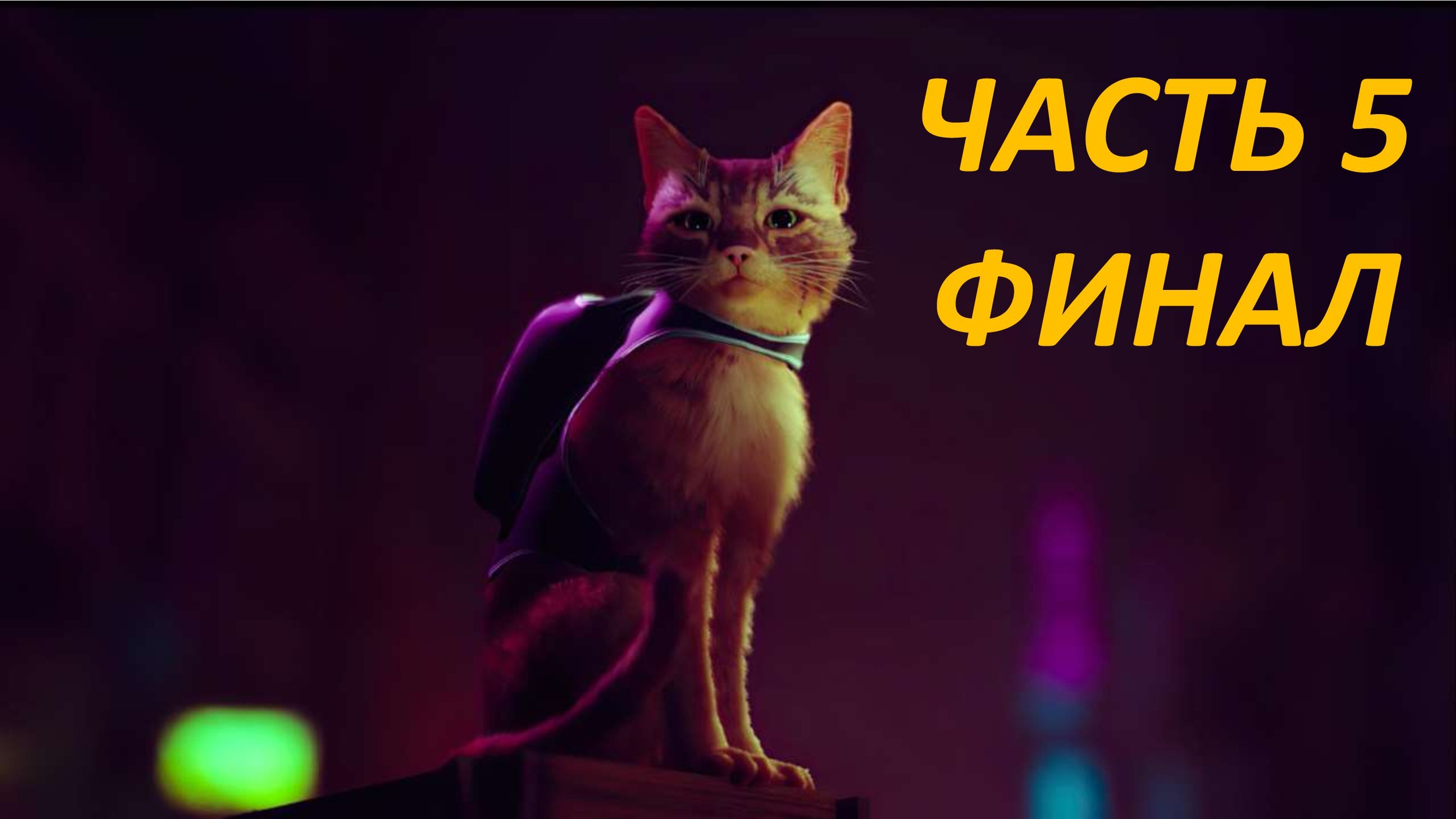 STRAY ПРИКЛЮЧЕНИЯ КОТИКА - ЧАСТЬ 5 СВОБОДА - ФИНАЛ