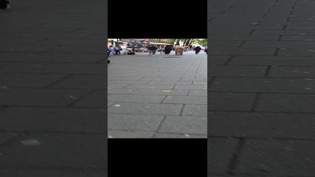 ГЕРМАНИЯ СЕГОДНЯ. ВИСБАДЕН, СТОЛИЦА ГЕССЕНА. НЕДАЛЕКО ОТ ЦЕНТРА. 08.06.2024