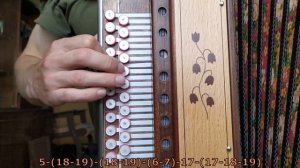Матаня(проигрыш к "Столичным частушкам"). Разбор на гармони с цифрами.
