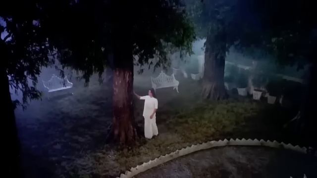 Meri Kismat Mein Tu Nahin Rishi Kapoor Padmini Kolhapure Prem Rog Songs Evergreen Hindi Hits C.R.