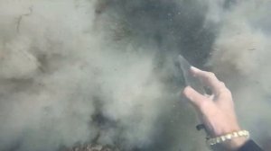 Anillos de oro ( Garrett Sea hunter )