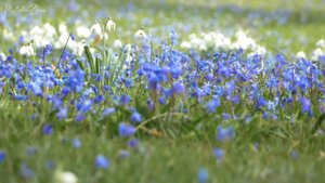 Призыв к Душе.mp4