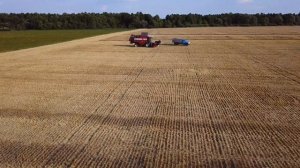 [4K] Уборка урожая. Работа комбайна с высоты птичьего полета