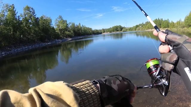 Поставил отводной поводок и не прогадал! Поклевки одна за другой! смотреть онлайн