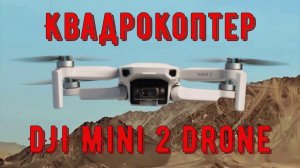 Профессиональный Квадрокоптер DJI Mini 2 Drone 4K камера, GPS, 4x Zoom, Сверхлегкий 249g, 10 к