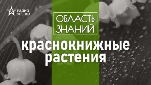 Какие цветы нельзя срывать ни при каких обстоятельствах? Лекция Натальи Решетниковой.