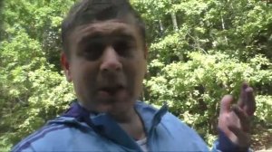 Сколько можно заработать на лесных ягодах?/Эксперимент?