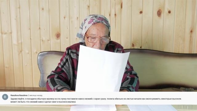 Малина. 1000 Секретов получить хороший урожай малины.
