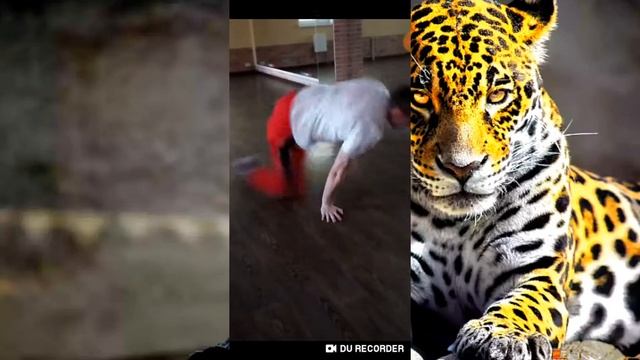 Связка из брейк-данса (Мой тренер) смотреть онлайн