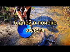 6 дней в поиске золота