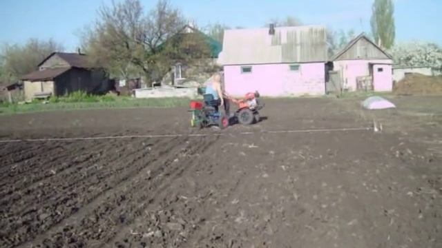 посев кукурузы мотоблоком (planting corn motor-block) смотреть онлайн