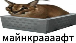 строю дом в майне