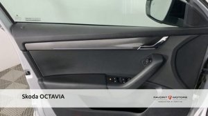 Skoda OCTAVIA с пробегом 2019