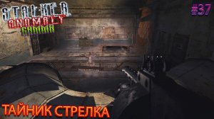 ТАЙНИК СТРЕЛКА | STALKER ANOMALY GAMMA | Серия 37