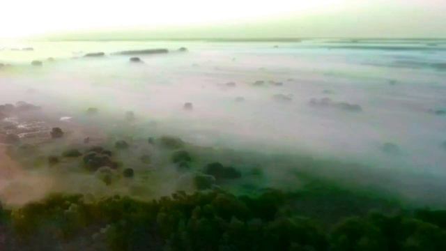 ЧТО ПРОИСХОДИТ С ВРЕДИНОЙ? VREDINA LIFE. смотреть онлайн