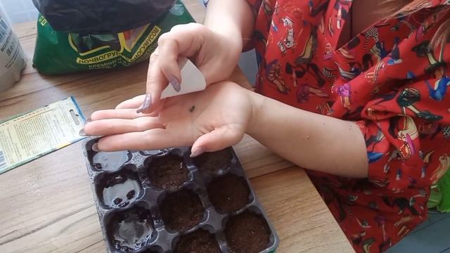 ПОСАДКА КАПУСТЫ РАНЕТКА НА РАССАДУ. смотреть онлайн