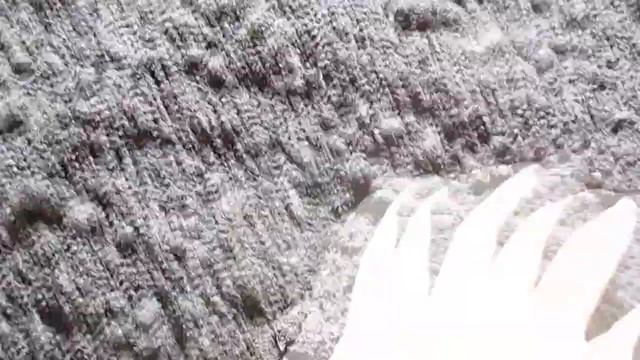 Разведение Дендробены из коконов. Прошло 4 недели. смотреть онлайн